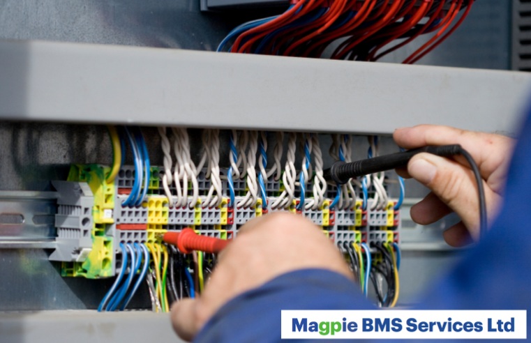 MAGPIE BMS SERVICES LTD: UNDER NEW MANAGEMENT