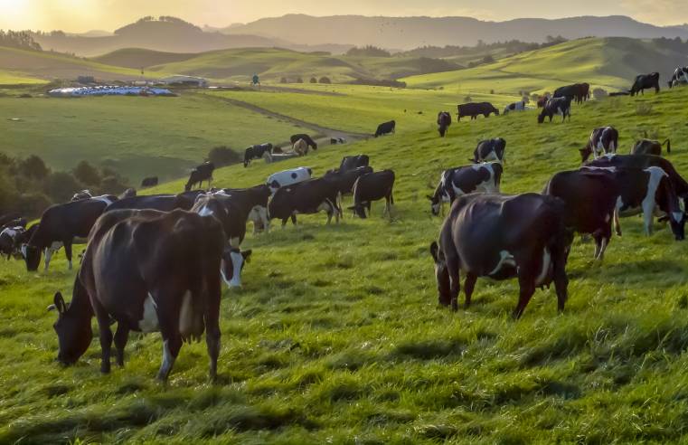 HSE CALLS ON FARMERS TO MAKE SAFETY A PRIORITY 